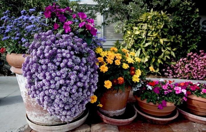 pomysły na projekt ogrodu kolorowe pomysły na dekoracje z kwiatami