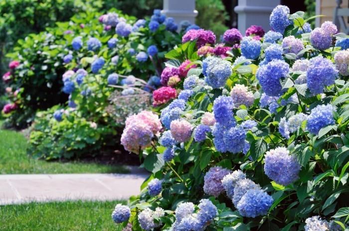 pomysły na projekt ogrodu kwiaty ogrodowe w pastelowych kolorach