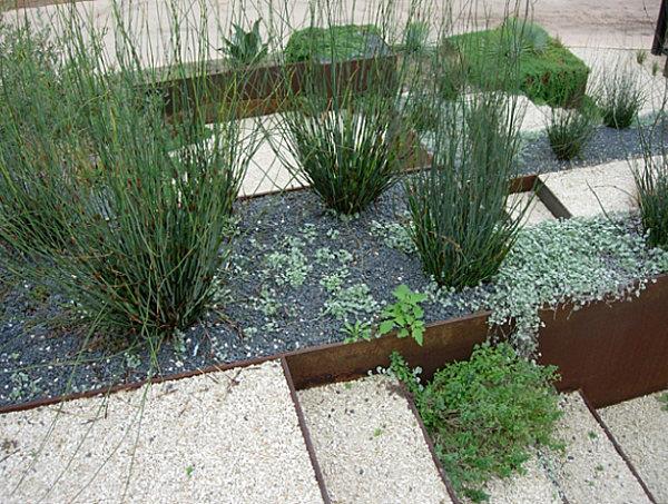 pomysły na projektowanie ogrodów rośliny oszczędzające wodę xericaping projektowanie ogrodów i architektura krajobrazu