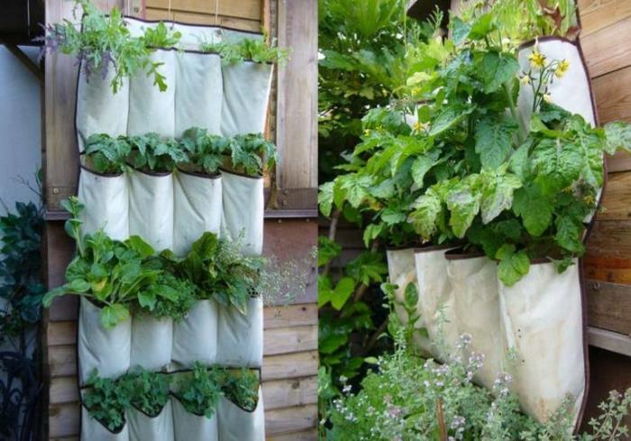 tissu de conception d'herbes de jardin faisant pousser des légumes verticalement