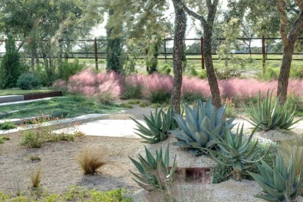 projektowanie ogrodu z kamieniami łatwe w pielęgnacji rośliny ogrodowe sukulenty