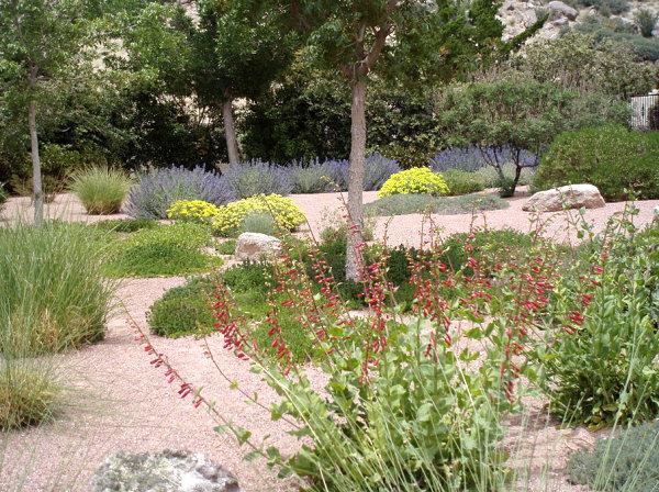 ogrodnictwo i kształtowanie krajobrazu żwir kamień rośliny odporne na suszę