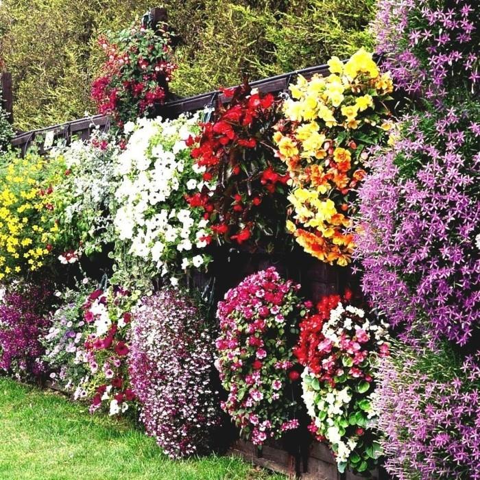 pomysły na ogród kolorowy projekt ogrodu udekoruj ogrodzenie ogrodowe