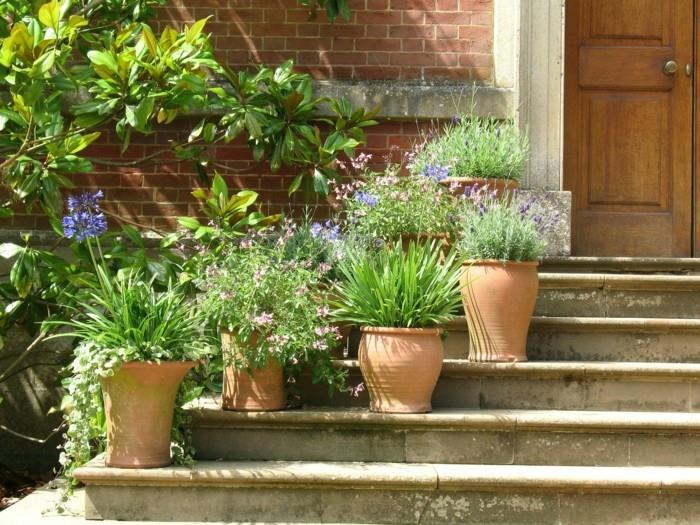 pomysły na ogród udekoruj schody ogrodowe i upiększ wejście