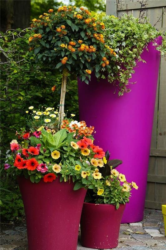 pomysły na ogród fioletowe pojemniki na rośliny i piękne kwiaty