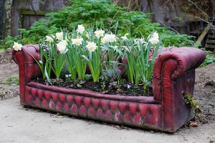 idées de jardin pour fabriquer soi-même des jonquilles de vieux canapé