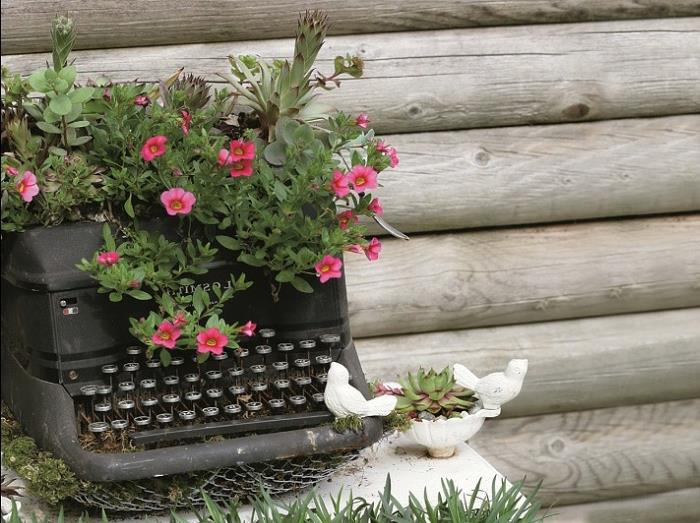 idées de jardin à faire soi-même planter des fleurs vieille machine à écrire