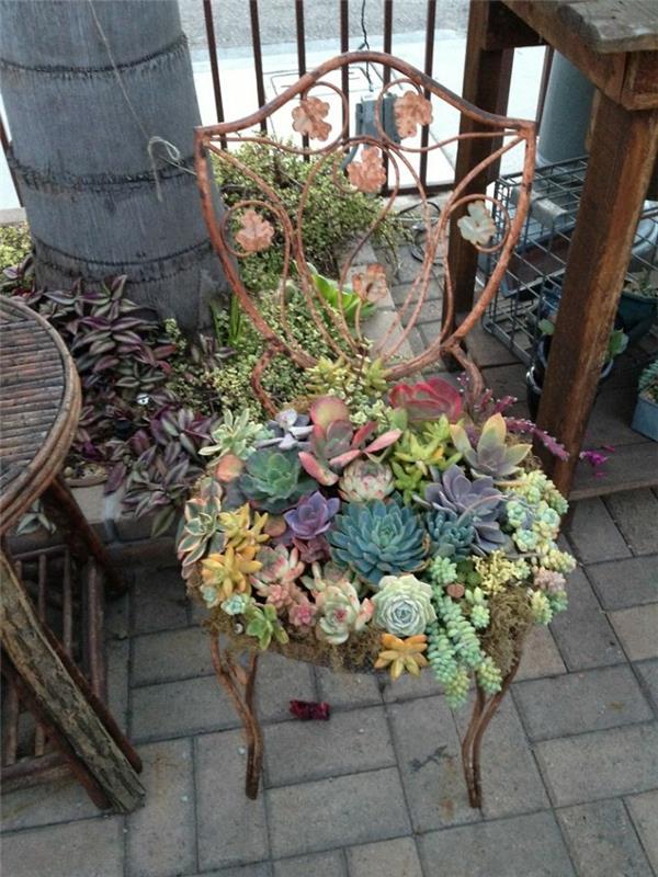 faire soi-même des idées de jardin succulentes vieille chaise en fer forgé
