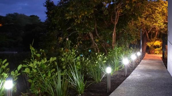 lumières de jardin éclairage élégant jardin