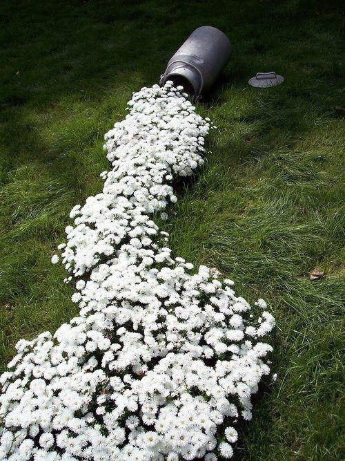 idées de meubles de jardin forme artistique fleurs pelouse blanche