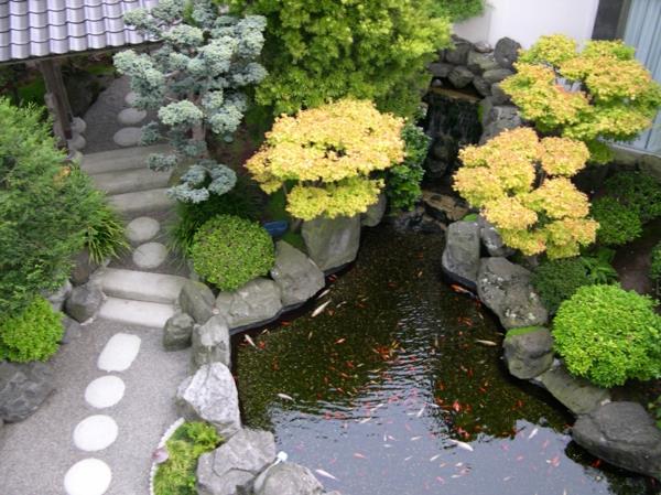 créer un bassin de jardin créer un jardin d'eau asiatique