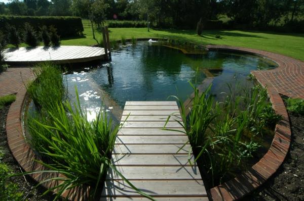 Créez un bel étang de jardin Créez un jardin d'eau fraîche
