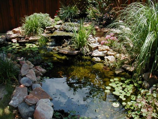 Créer un étang de jardin Créer un poisson de jardin d'eau Créer un magnifique étang de jardin