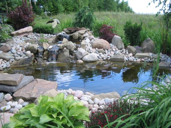 Créer un poisson koi de jardin d'eau Créer un magnifique étang de jardin
