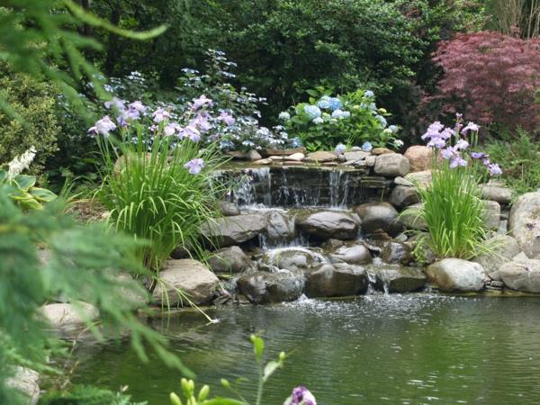 Créer un bassin de jardin Créer un jardin d'eau
