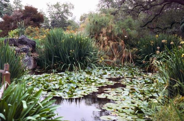 créer un étang de jardin cool concevoir un jardin d'eau