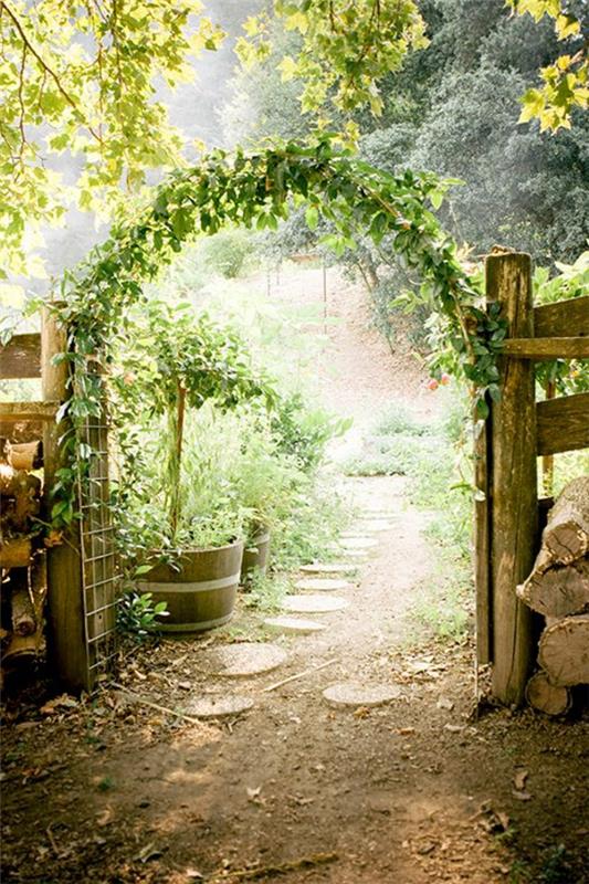 projektowanie drzwi ogrodowych zbliżone do natury rośliny pnące projektowanie ogrodów