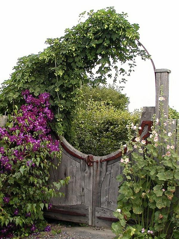 projektowanie drzwi ogrodowych rustykalne rośliny projektowanie ogrodów