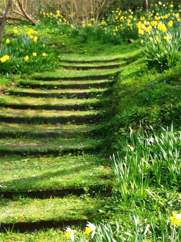 Construisez vos propres escaliers de jardin avec des pneus de voiture