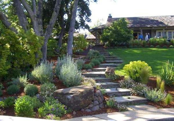 jardin escaliers pierre bois aménagement paysager jardin vert