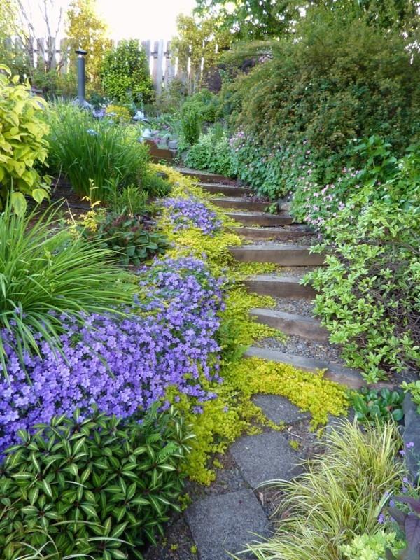 idées d'allée de jardin planter des fleurs