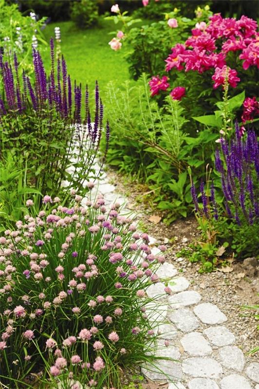 idées d'allées de jardin plantes de jardin petite allée de jardin