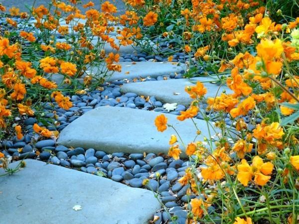 idées d'allée de jardin allée de galets fleurs jaunes