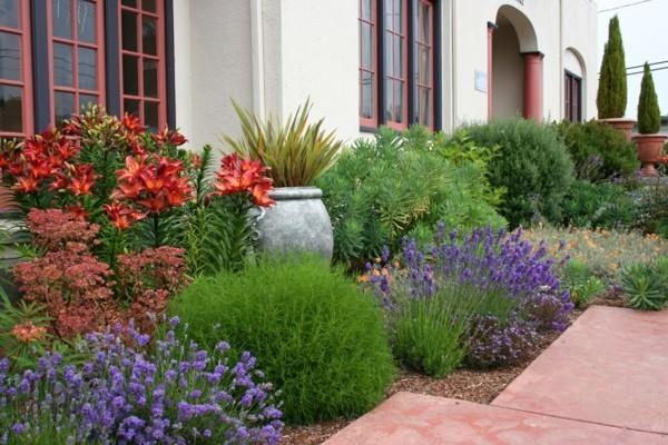 idées d'allée de jardin idées de jardin méditerranéen