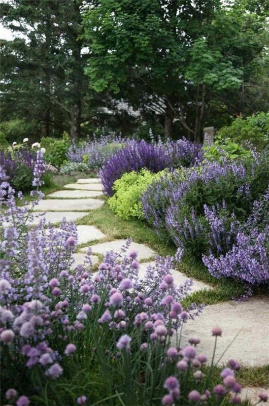 idées d'allée de jardin pierre naturelle lavande