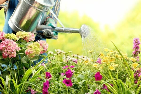 idées d'allées de jardin entretenir régulièrement de belles plantes de jardin