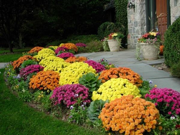 idées de chemin de jardin design élégant fleurs colorées