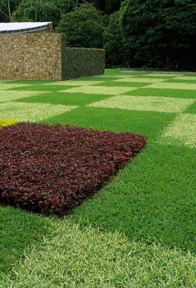 سيساعد مزيج أنواع مختلفة من العشب في إنشاء منظر طبيعي غير عادي على العشب
