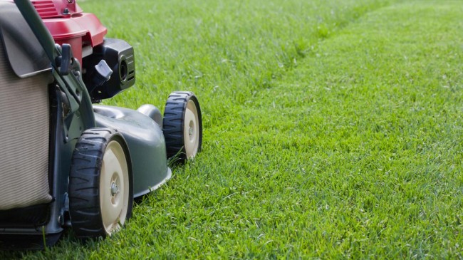 Benzínové sekačky na trávu s vlastním pohonem. Před nákupem nezapomeňte vyhodnotit, jak moc potřebujete sekačku na trávu, podle velikosti trávníku, povahy jeho hnojení, s přihlédnutím k terénu a podnebí a s ohledem na vaše vlastní pohodlí