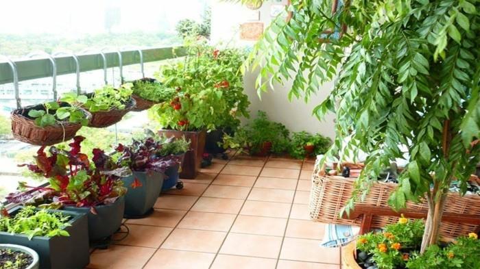stwórz ogród warzywny szczęśliwe zbiory pomysły balkonowe projektowanie ogrodu wykorzystanie przestrzeni