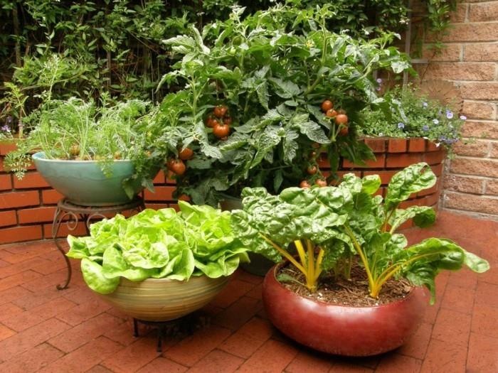 stwórz ogród warzywny szczęśliwe zbiory pomysły balkonowe projektowanie ogrodu jak rosną warzywa