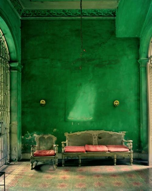 Murs de style grunge vert saturé joliment conçus