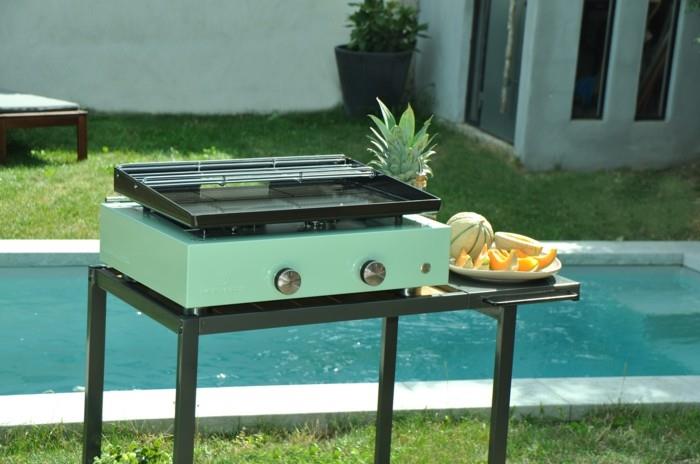 sain grill plancha grill fruits melon ananas