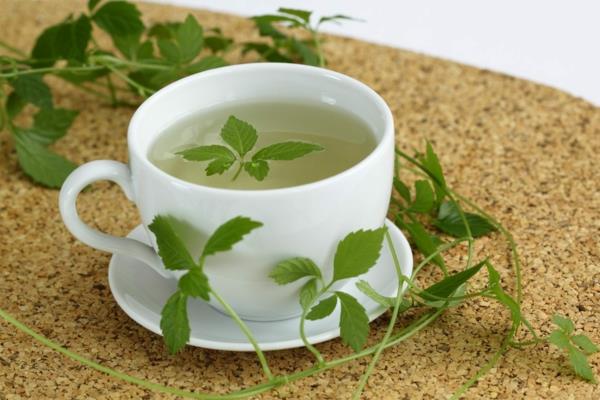herbe de thé saine de l'immortalité jiaogulan