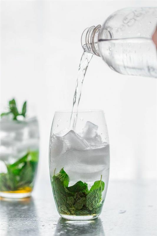 eau saine avec boissons rafraîchissantes à la menthe