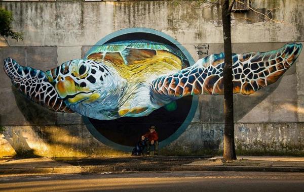 graffiti dessin buenos aires argentine tortue