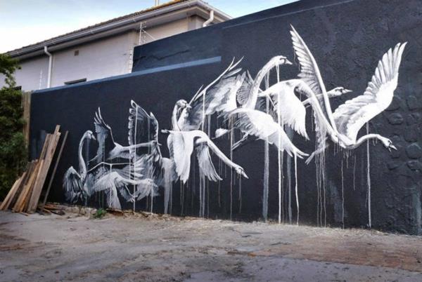 graffiti art le cap afrique du sud cygnes