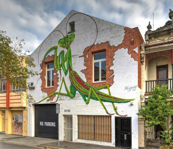 graffiti photos melbourne australie mante religieuse