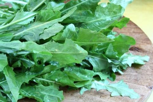 zielone warzywa liściaste zdrowa żywność