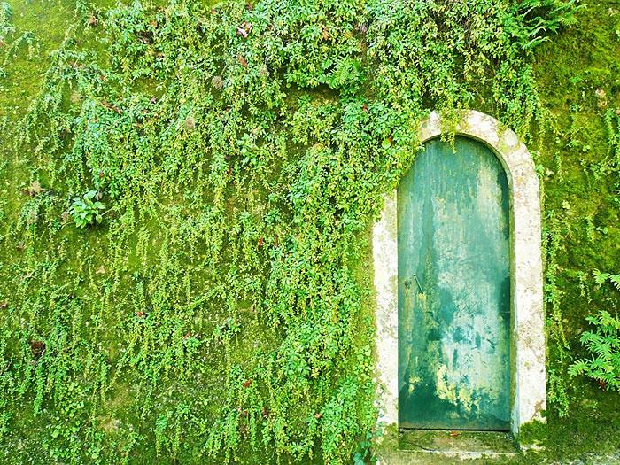 zielone zwierzaki przeprojektuj nowoczesne drzwi wejściowe w żywym stylu