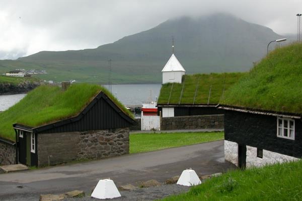 zielony dach trawa tradycyjne domy