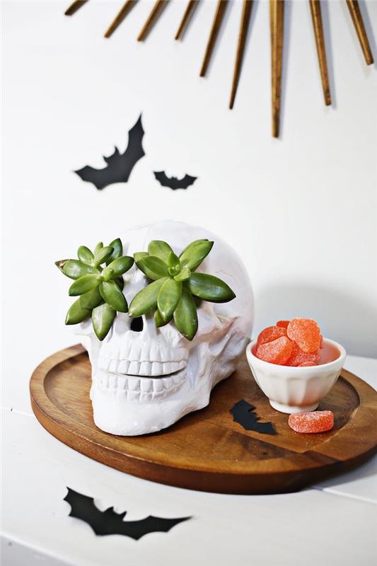 idées d'artisanat d'halloween crâne blanc et succulentes