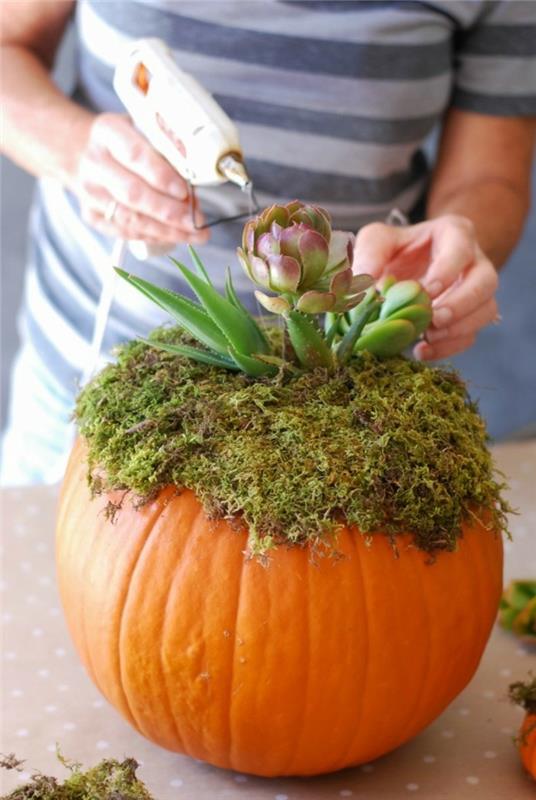 Halloweenowa dynia kreatywna dekoracja z dyniami i roślinami