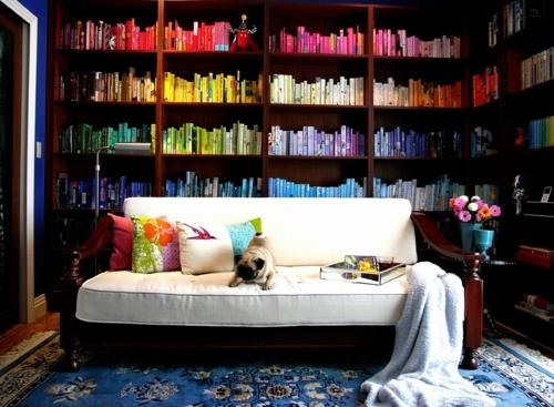 maison bibliothèque étagères murales colorées canapé blanc idée de chien cool
