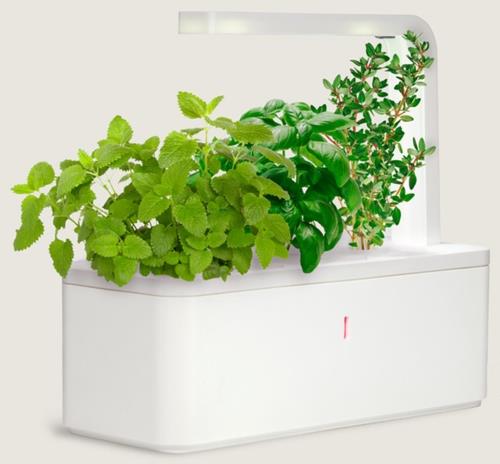 dispositifs de plantation de haute technologie jardin d'herbes aromatiques intelligent