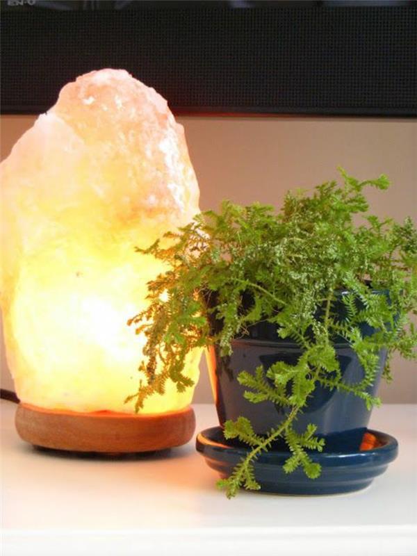 Lampes de table effet sel de l'Himalaya plante d'intérieur
